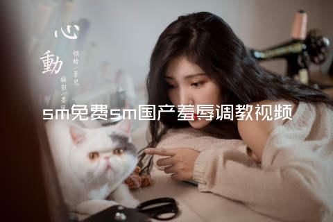 sm免费sm国产羞辱调教视频